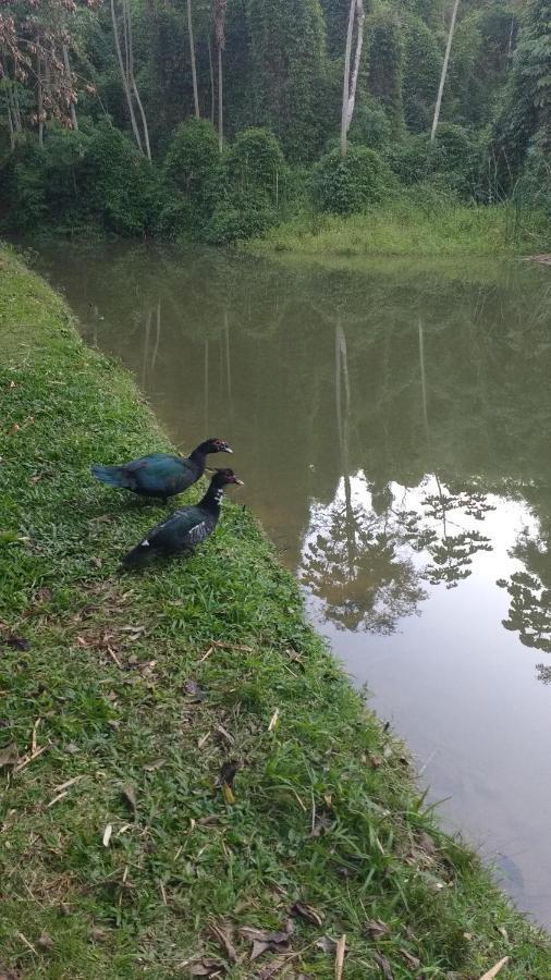 Casa De Campo Rosa Dos Ventos Rodeio Zewnętrze zdjęcie